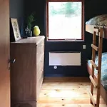Retro Woodland With Modern Twist Amidst Trees Vejby