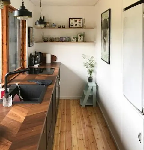 Retro Woodland With Modern Twist Amidst Trees *